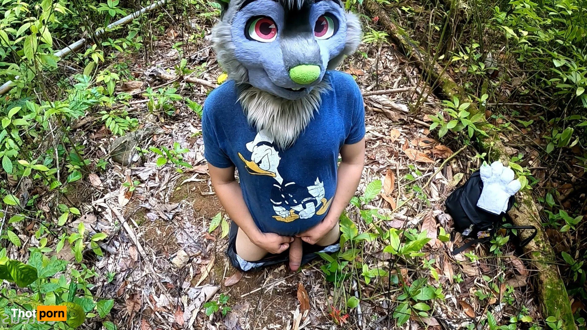 Luteus_free 14066469