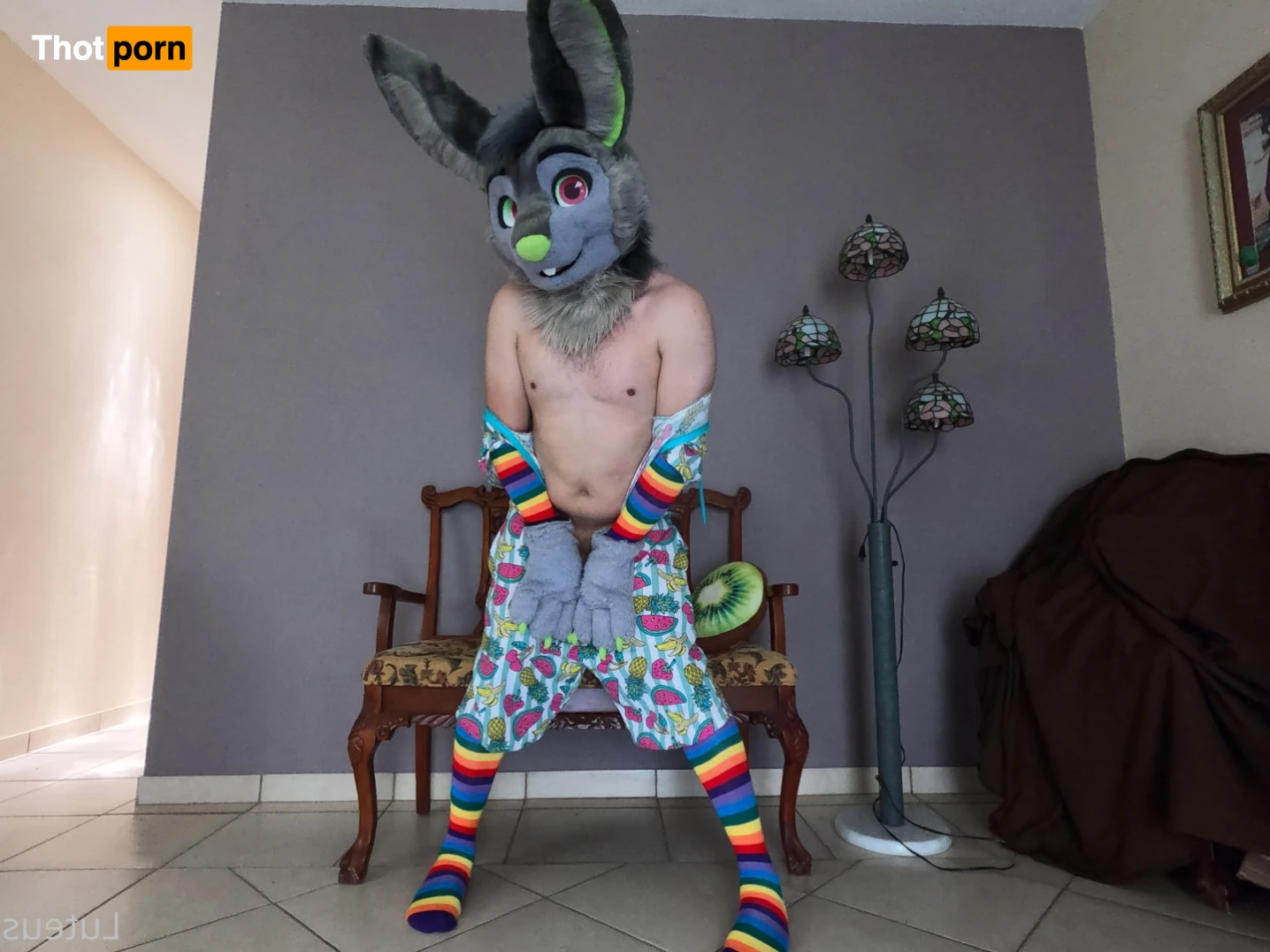 Luteus_free 14066561