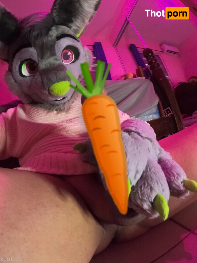 Luteus_free 14066793