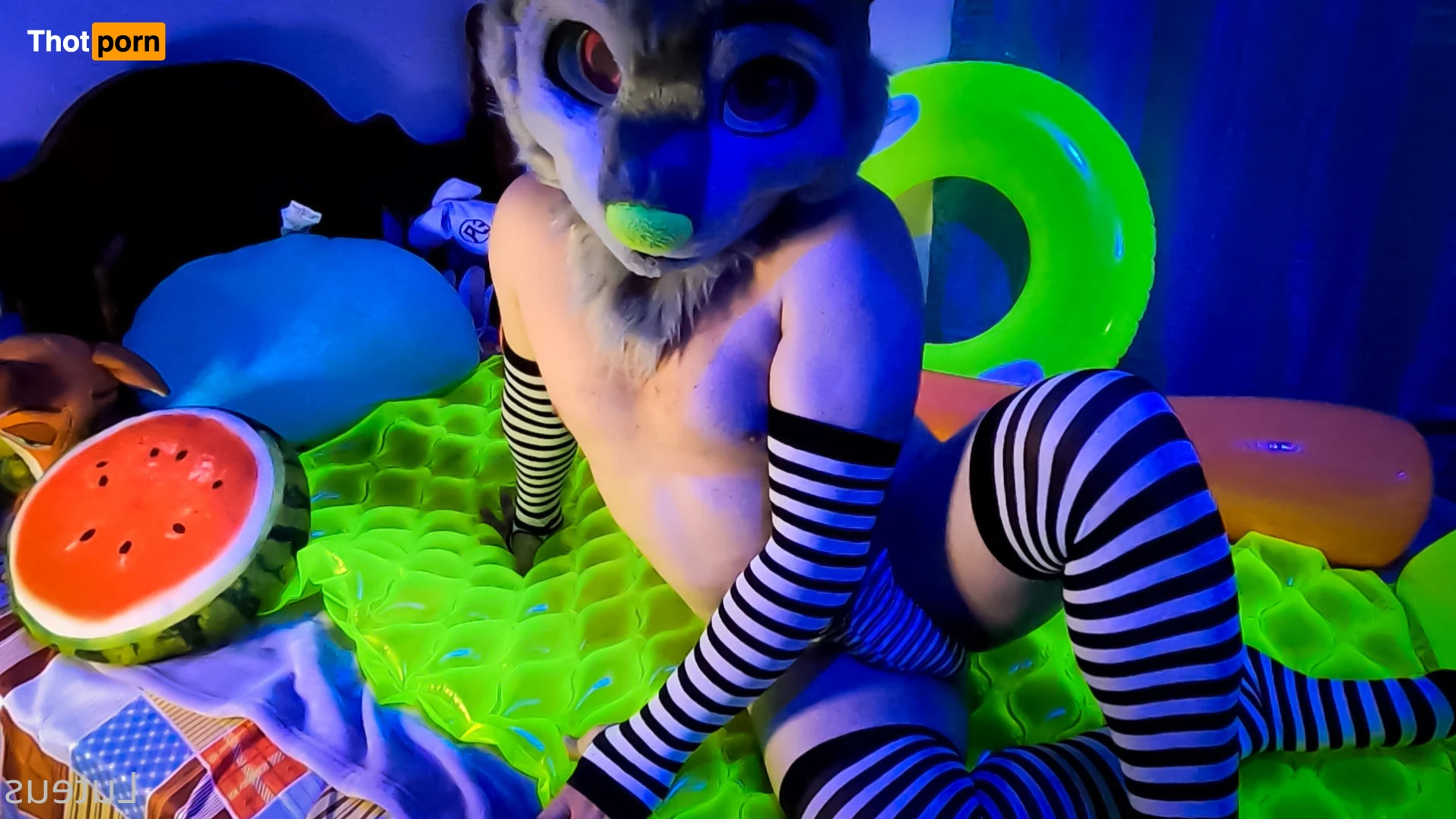 Luteus_free 14066921