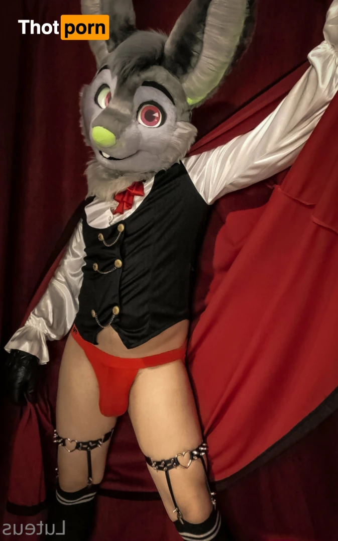 Luteus_free 14067078