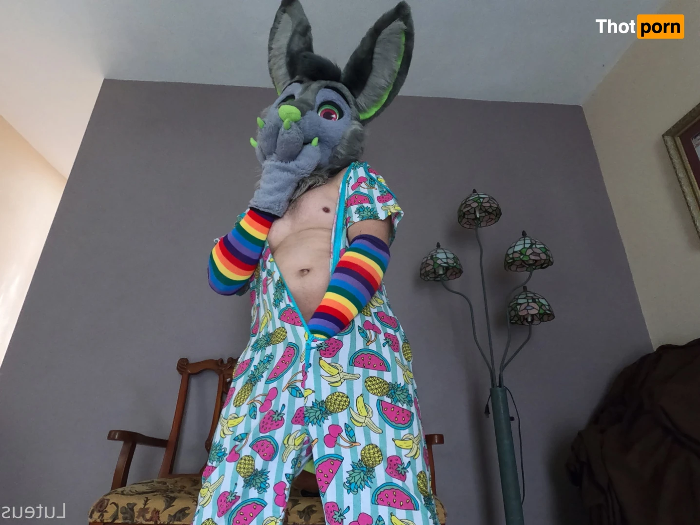 Luteus_free 14067191