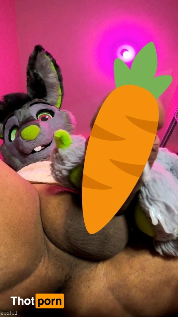 Luteus_free 14067304