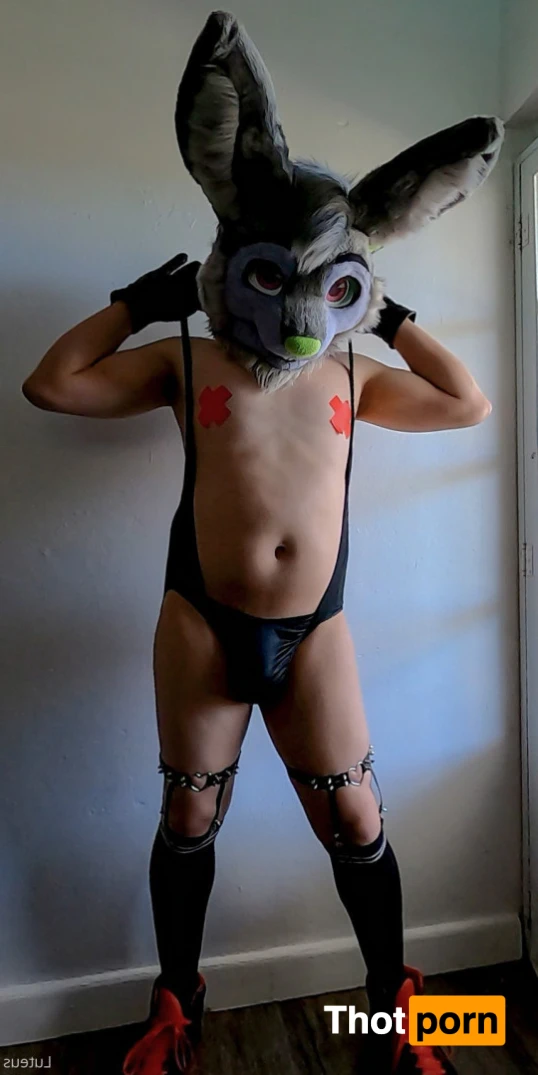 Luteus_free 14067343