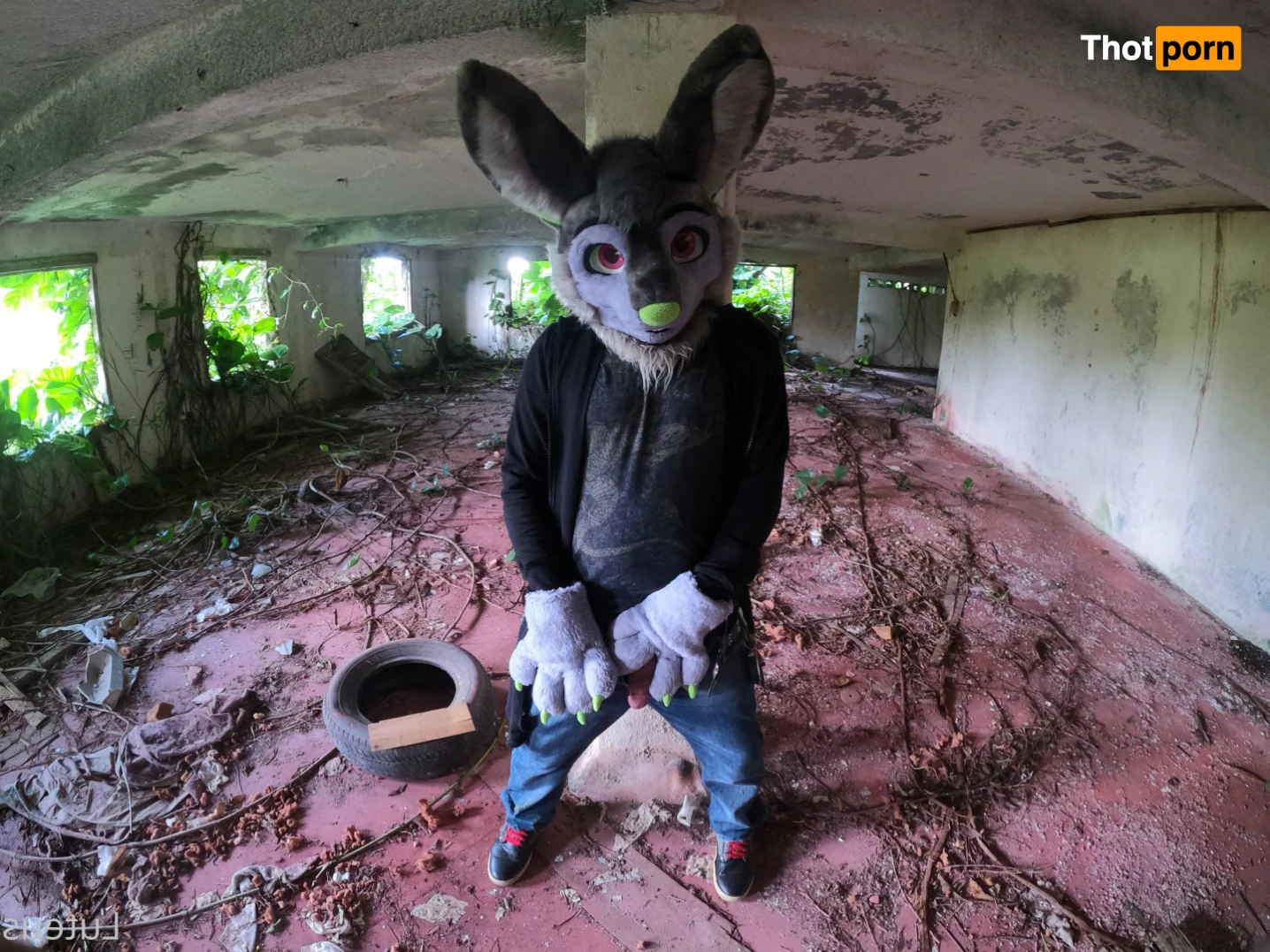 Luteus_free 14067590