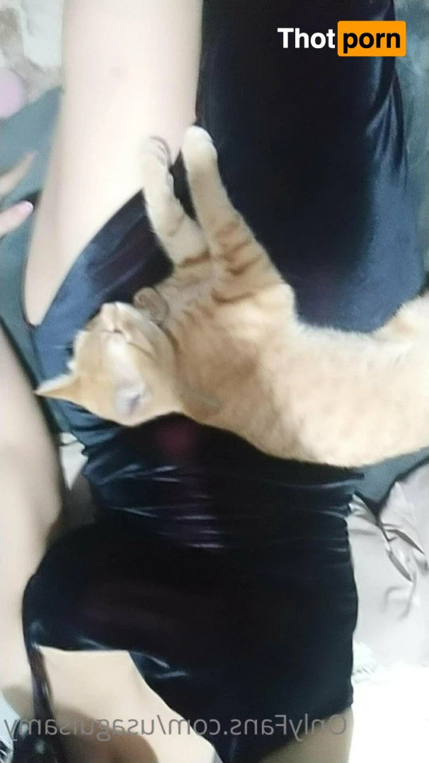 Samantha Rodriguez 13701809