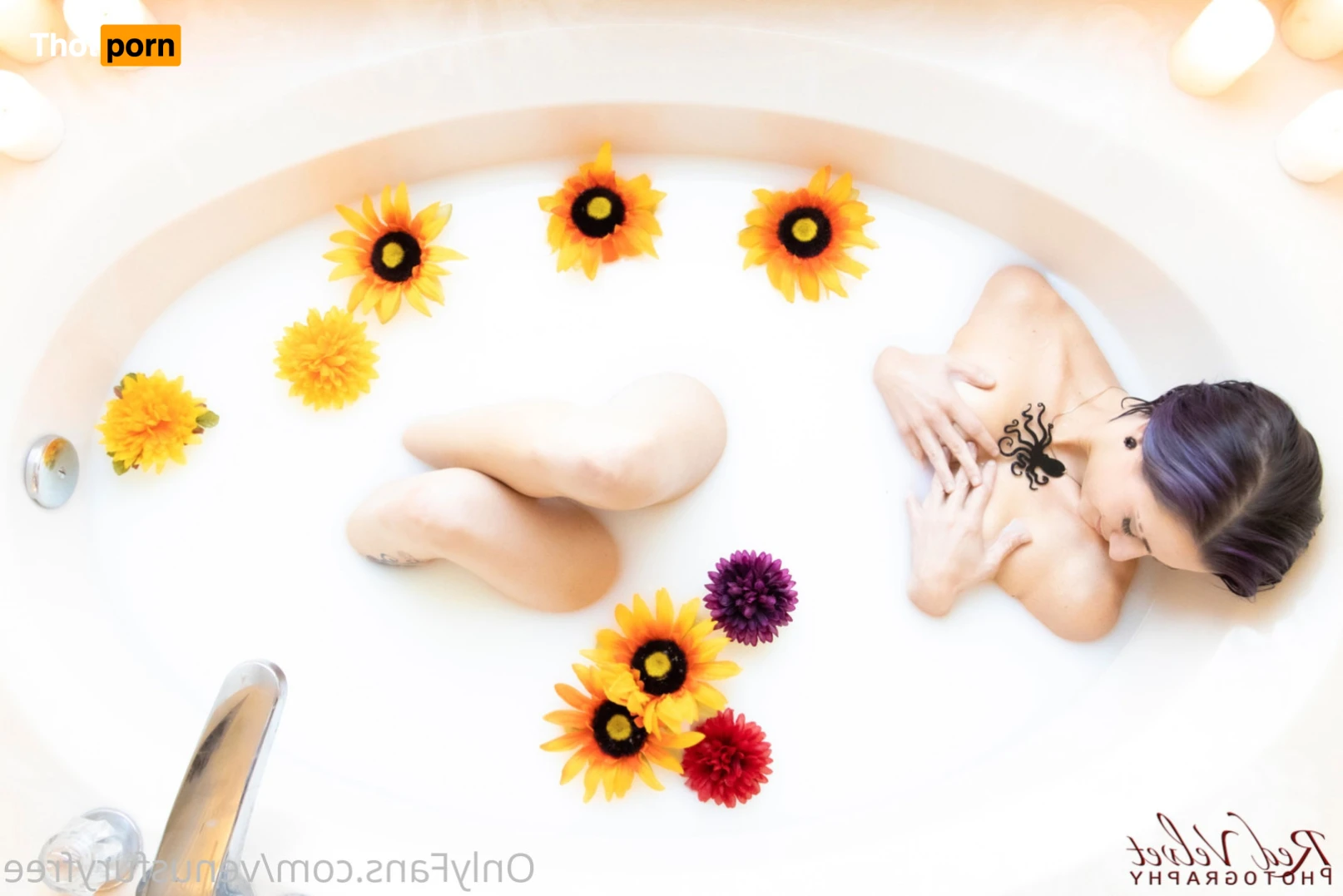 venusfuryfree 13588462