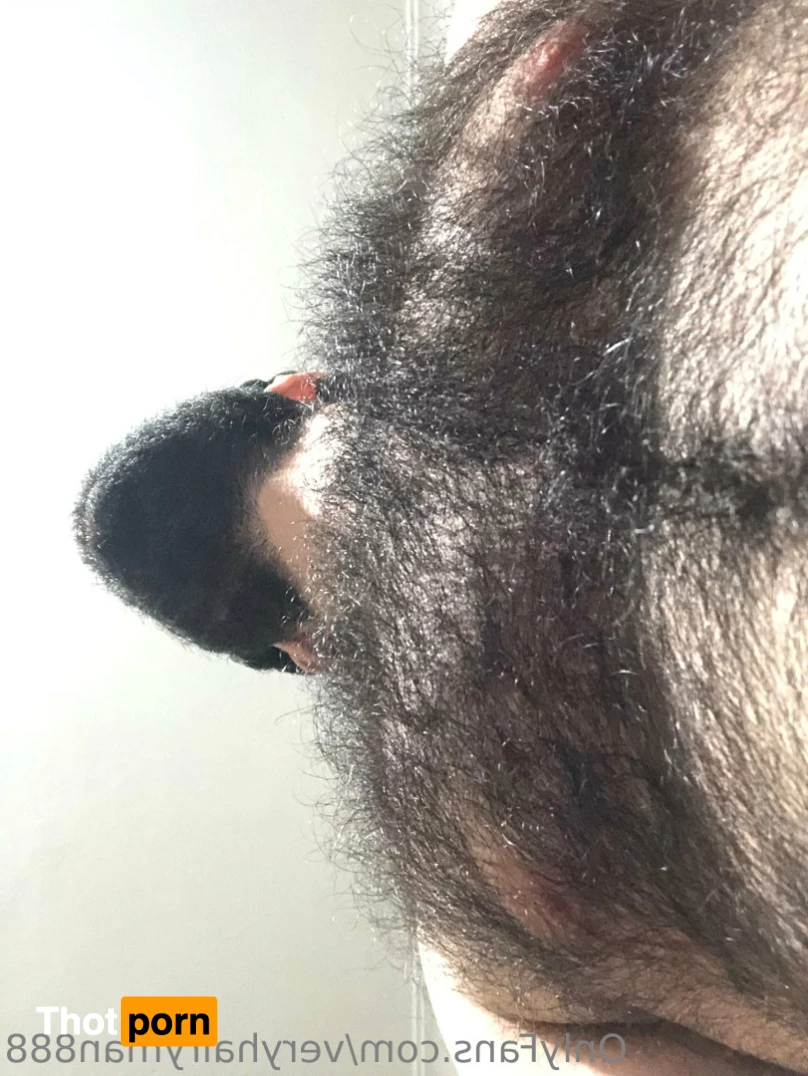 VeryHairyMan88 11141342