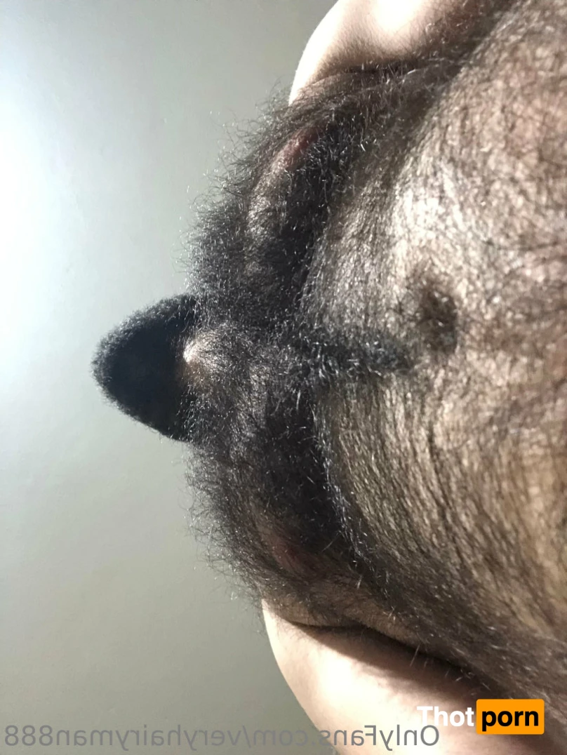 VeryHairyMan88 11158018