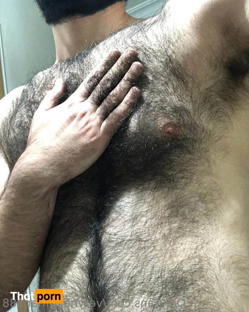 VeryHairyMan88 11162255