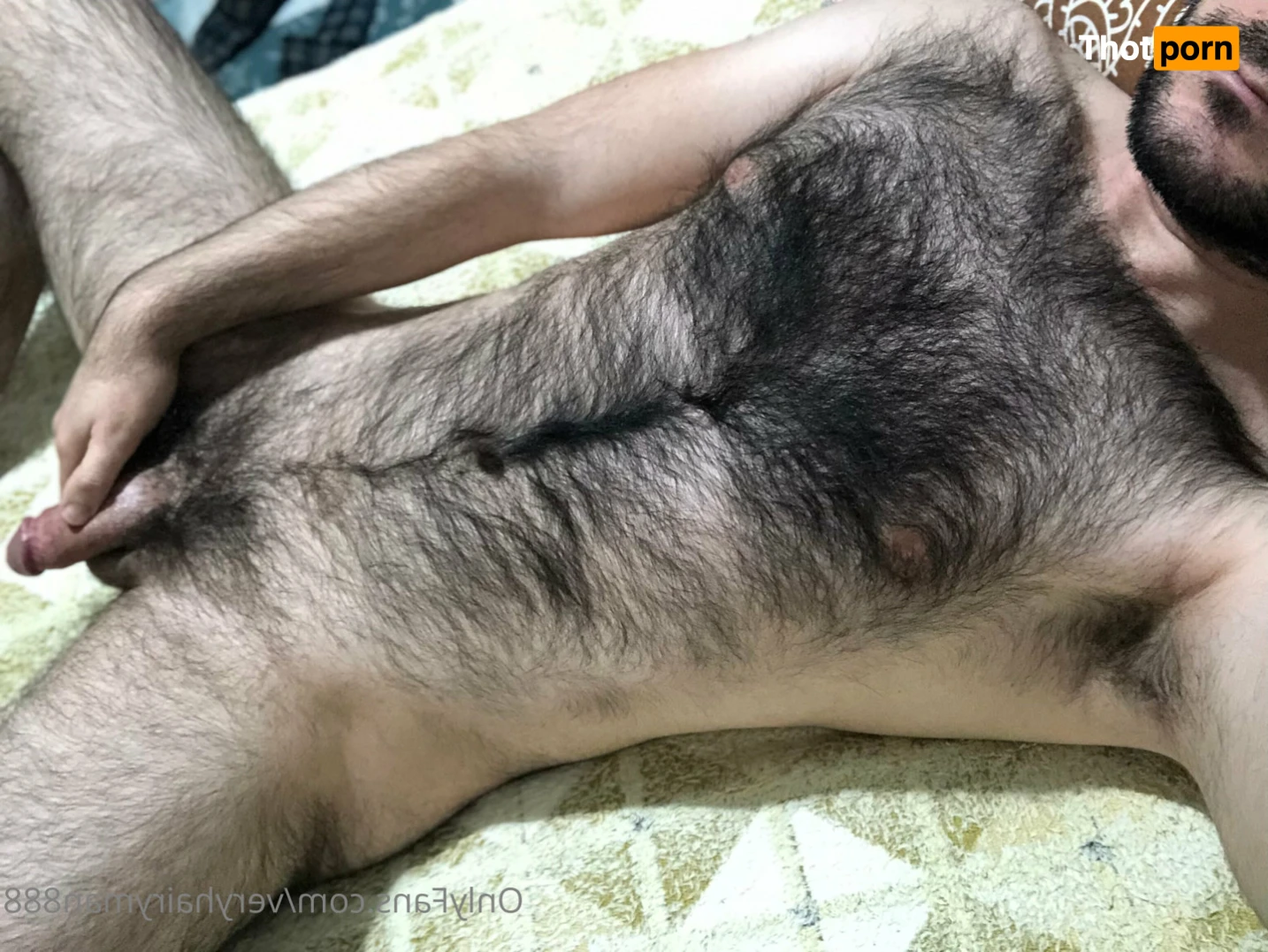 VeryHairyMan88 13486478