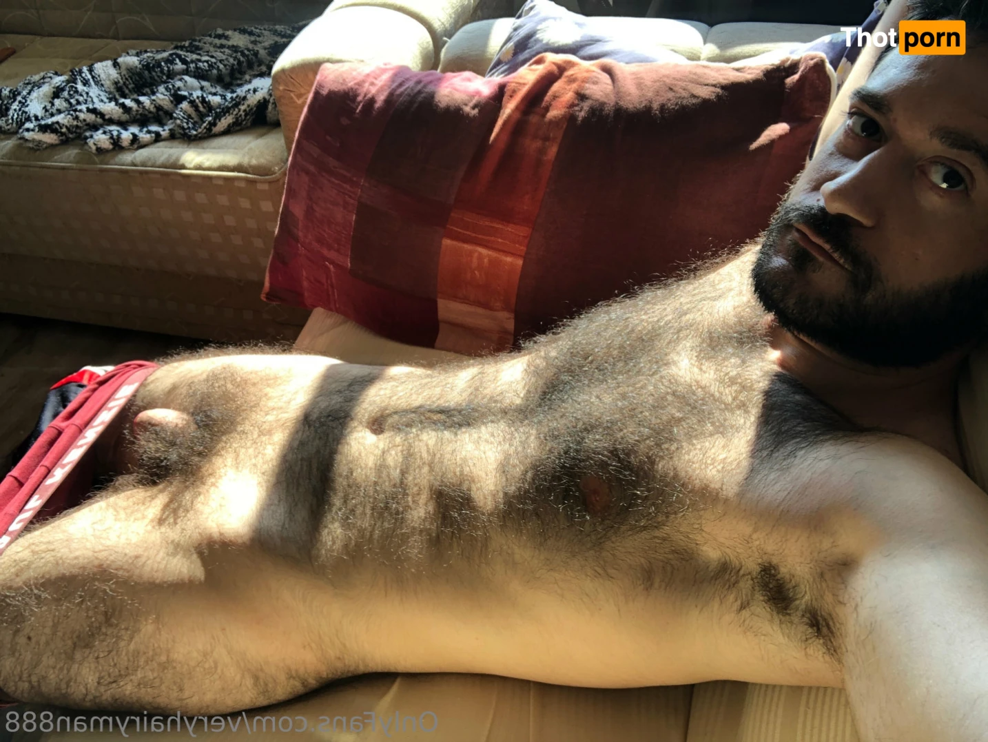 VeryHairyMan88 13487107