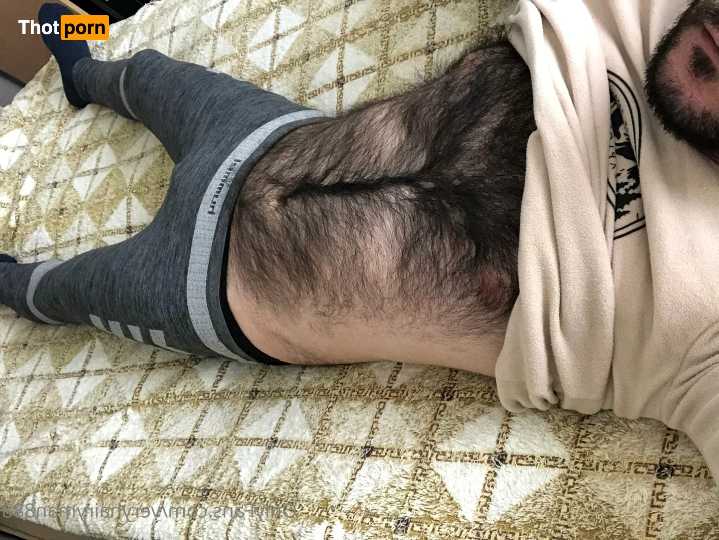 VeryHairyMan88 13487350