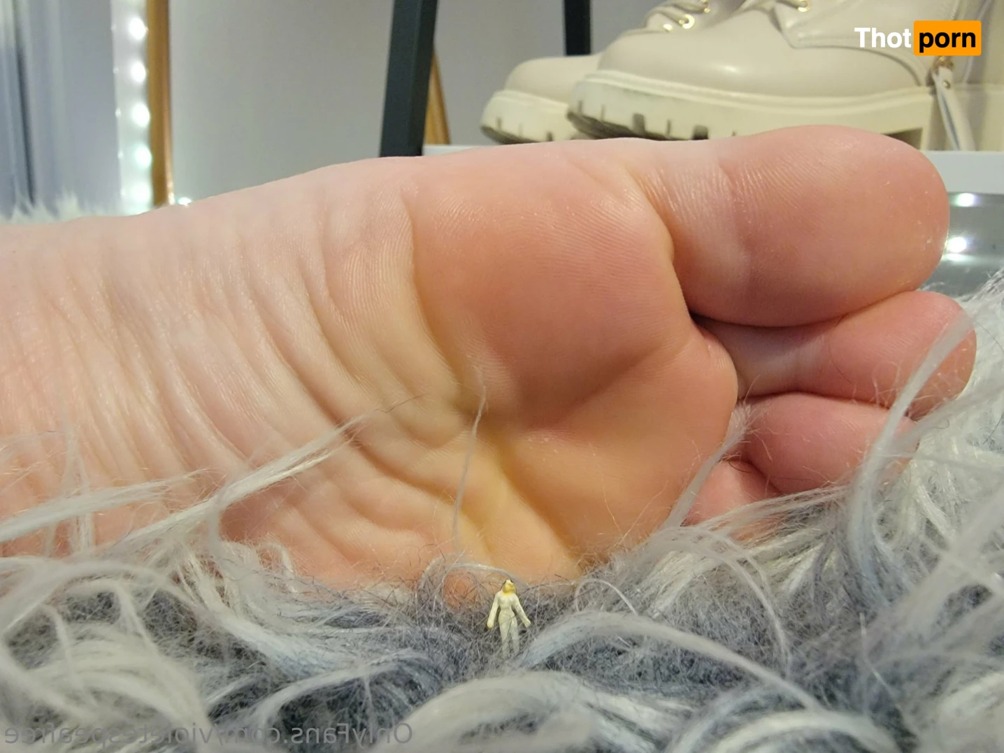 VioletEspea 13469704