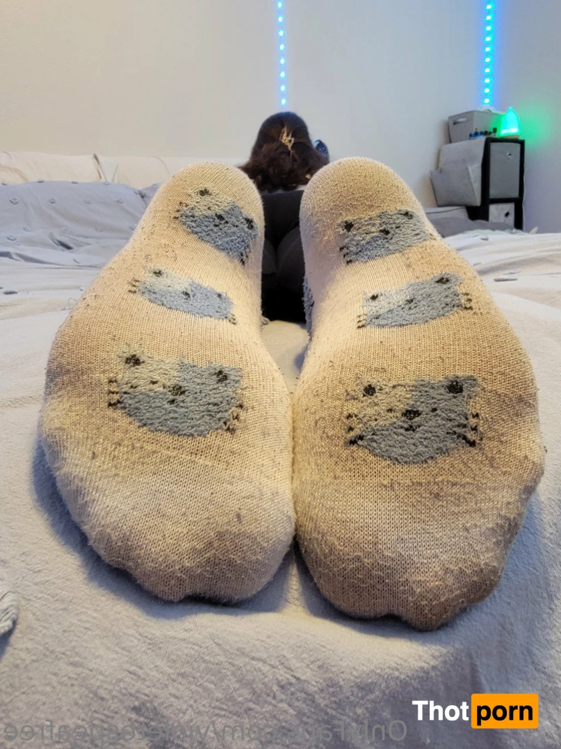 VioletEspea 13469751