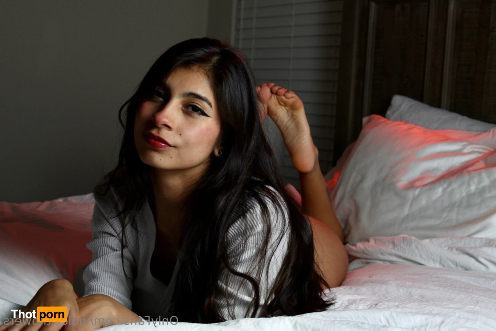 Violet Flowers 13468144