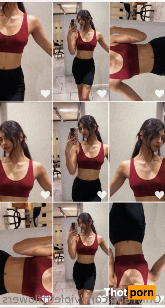 Violet Flowers 13468467