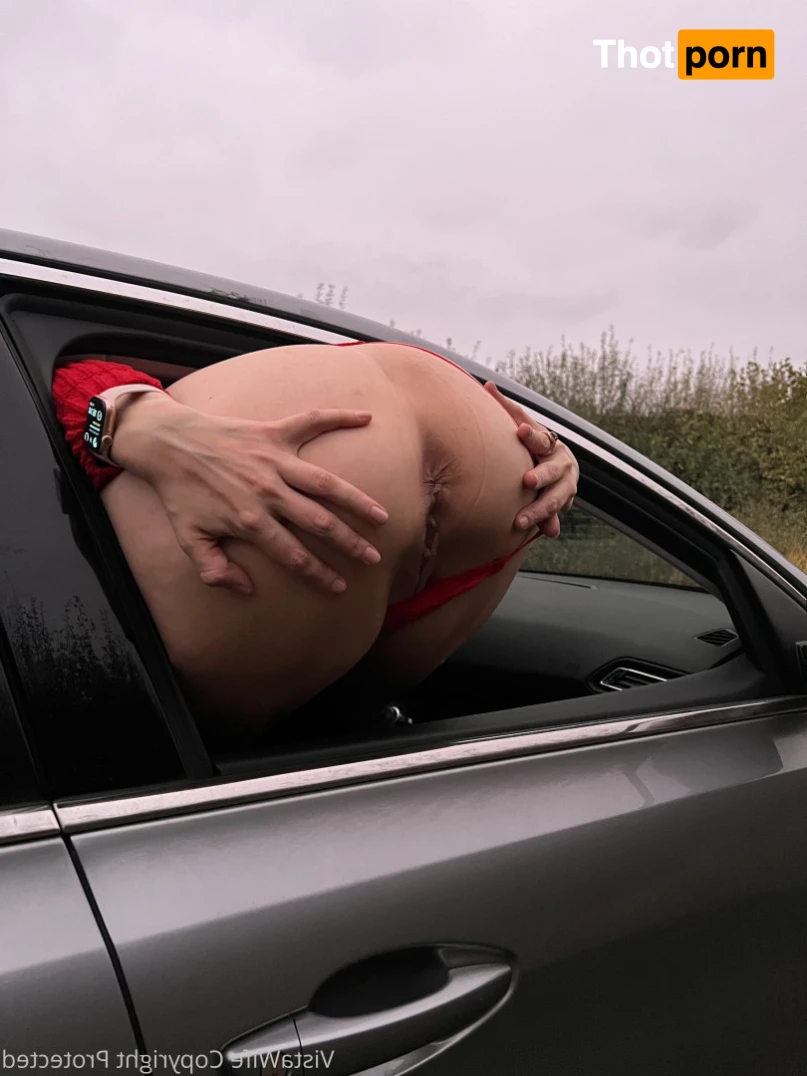 VistaWife - The Famous Swinger 13191134