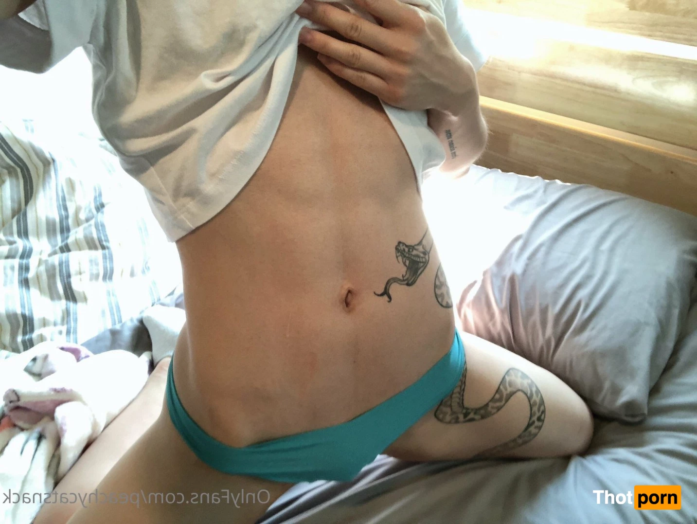 Peachy 🍑🐱🧁 960773