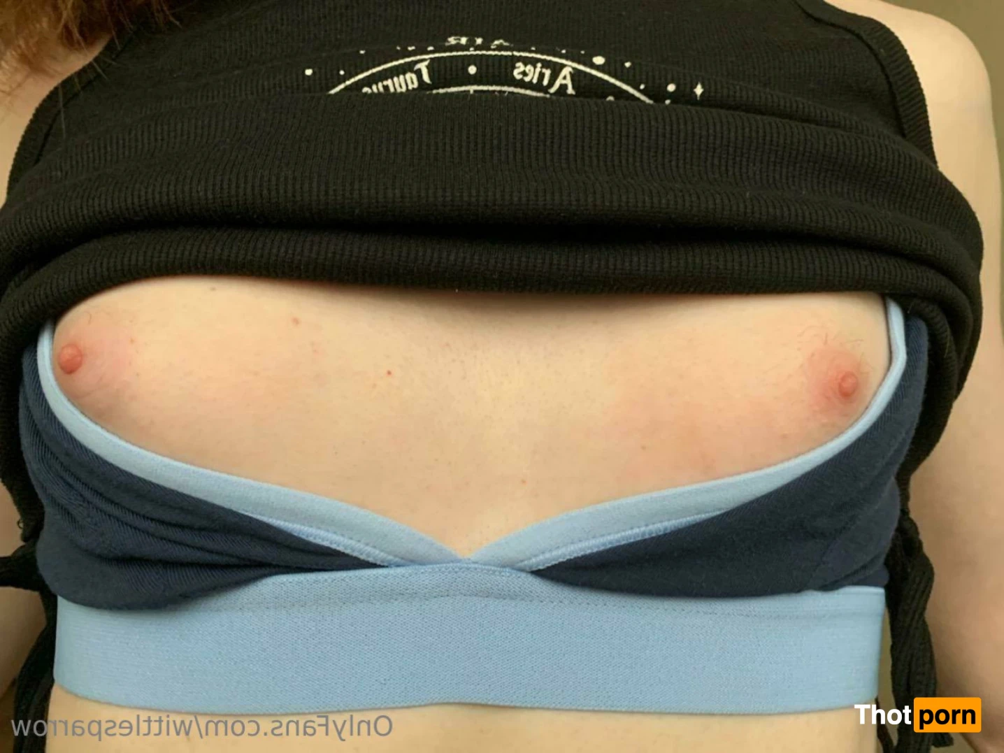 Little Sparrow 12855931