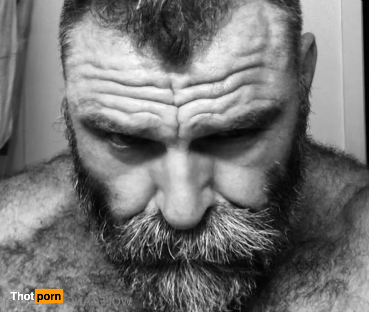 Wolfgang Fultz 12853363