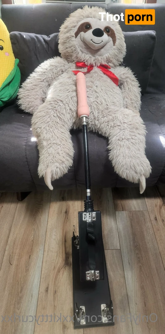 XxKitttyCurlxX 12220305