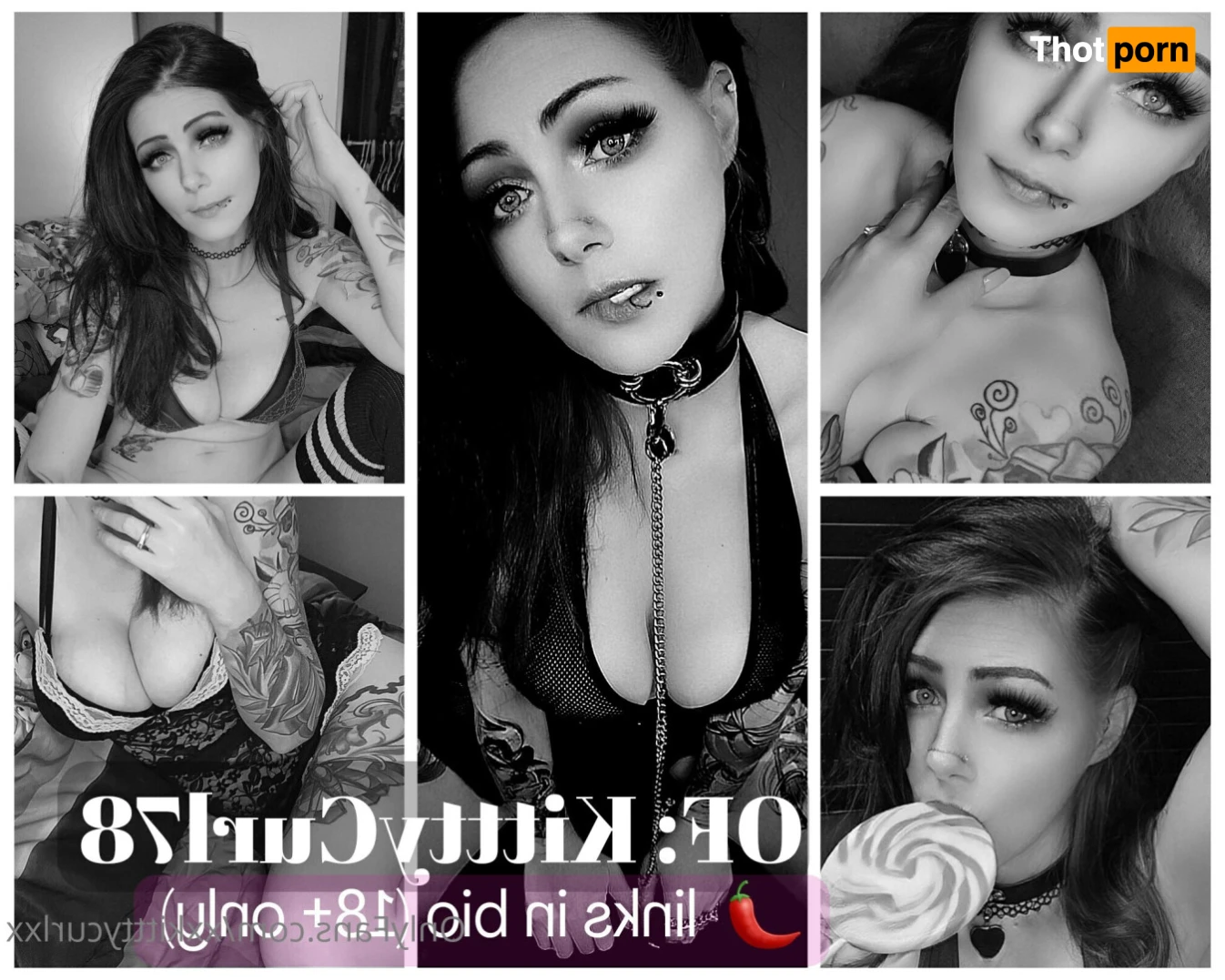 XxKitttyCurlxX 12220431