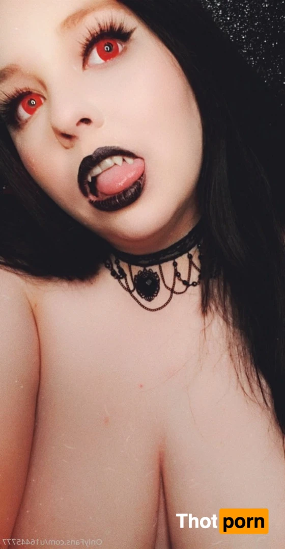 Leila Kitten 12196895