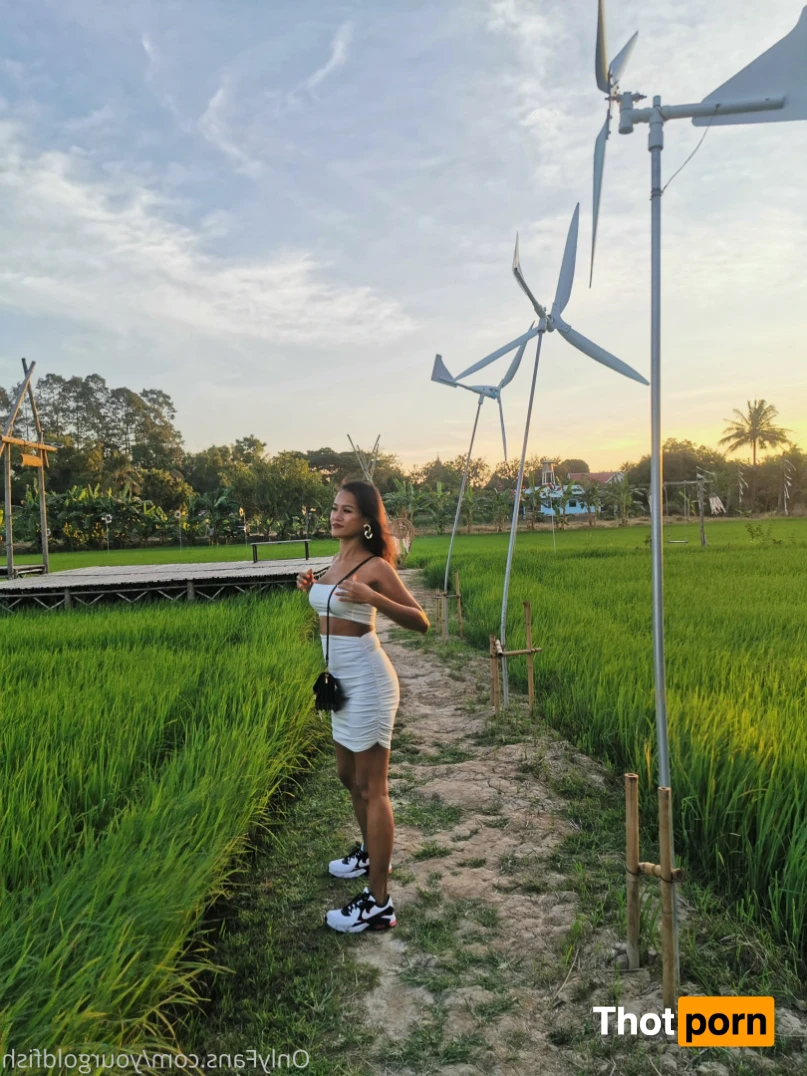 yourgoldfish 12574135