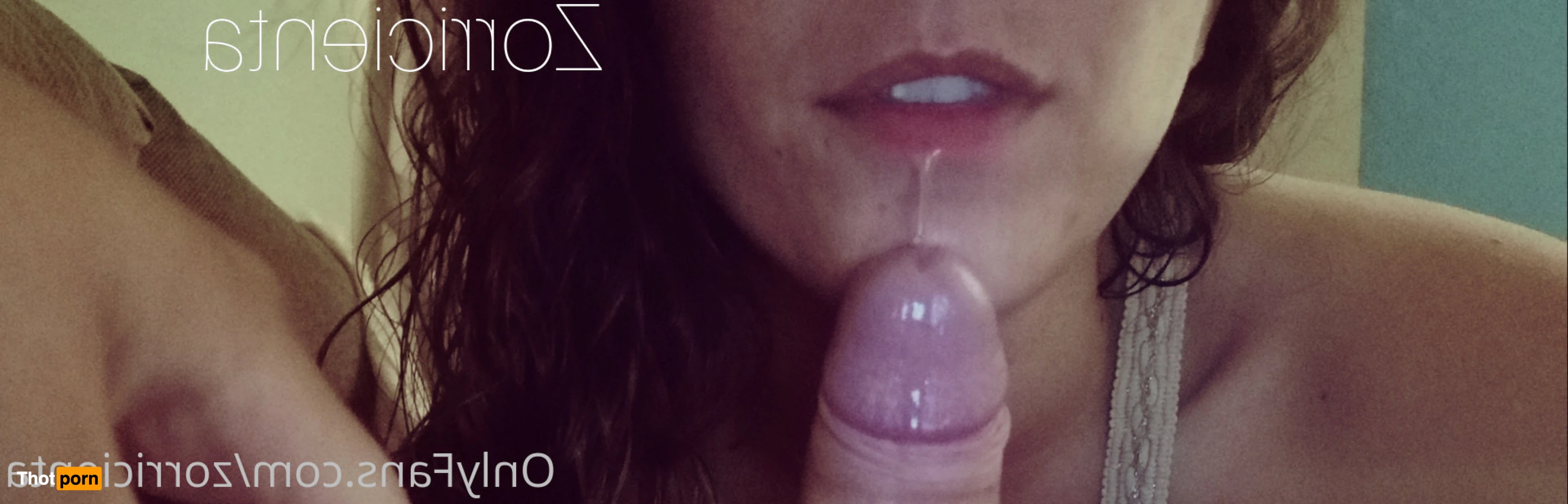 Zorricienta 11463677