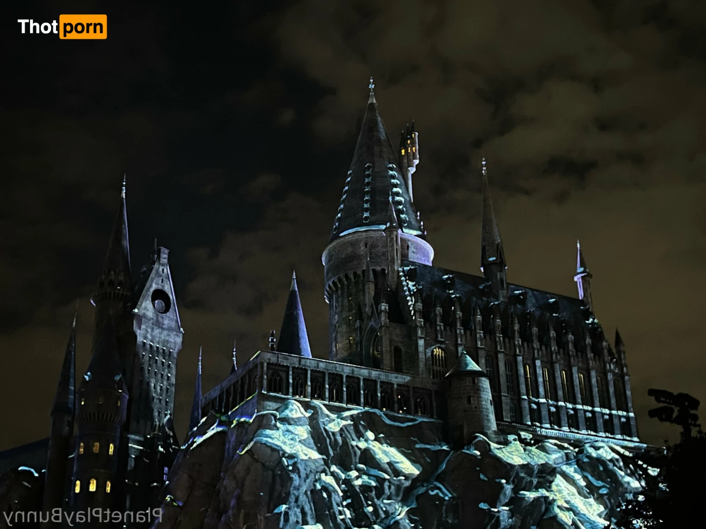 🌲⚠️ 🍂 Bunny Boy 🍂 ⚠️🌲  HE/THEY 16333036