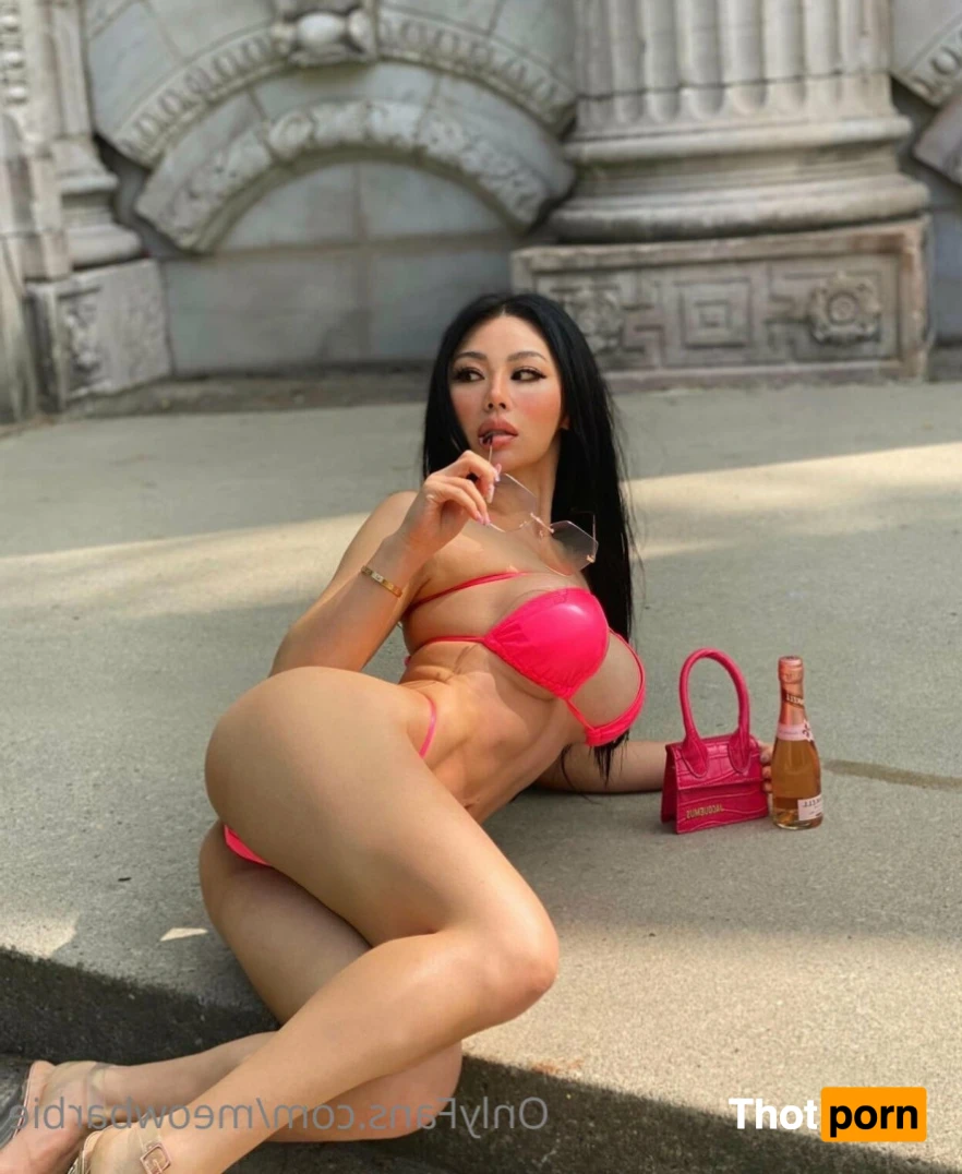 Meow Barbie 14983971