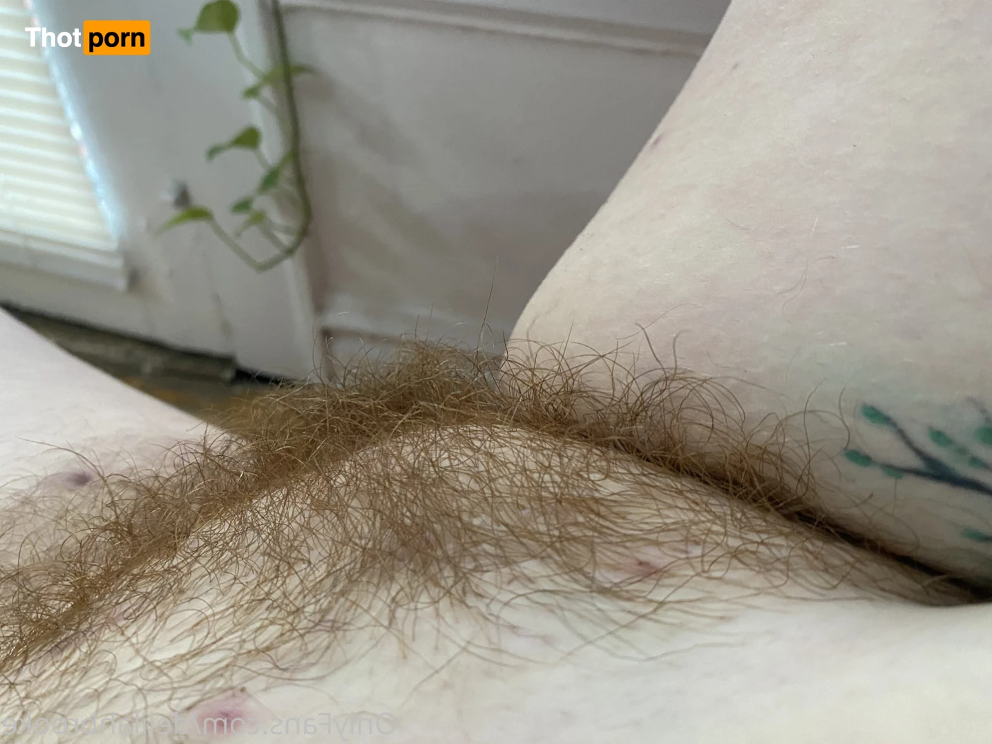 DelilahBrooke 15435808