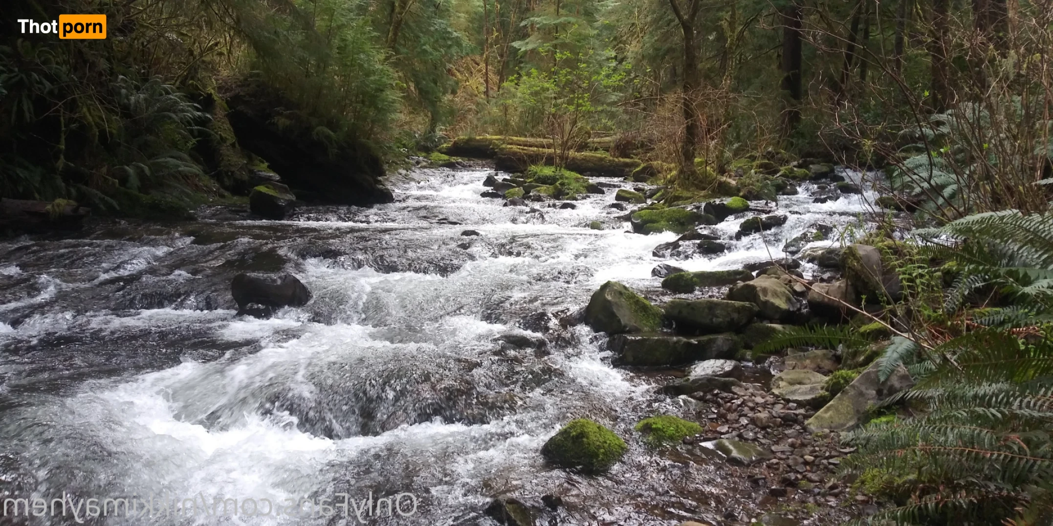 Nikki Mayhem 15680453