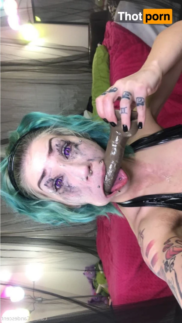 ⋆ 𝕮𝖆𝖙𝖙𝖎𝖊 ⋆ 𝕮𝖆𝖓𝖉𝖊𝖘𝖈𝖊𝖓𝖙 ⋆ 13207429