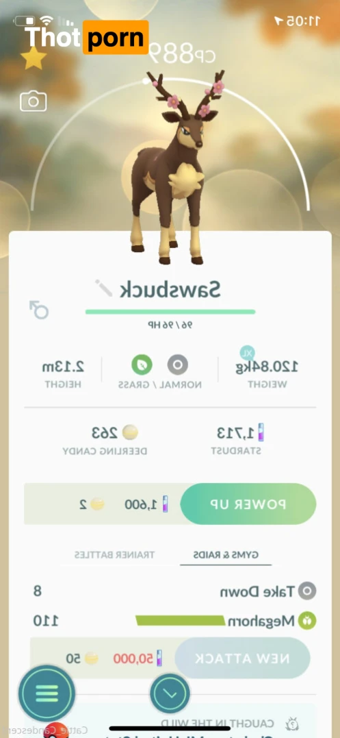 ⋆ 𝕮𝖆𝖙𝖙𝖎𝖊 ⋆ 𝕮𝖆𝖓𝖉𝖊𝖘𝖈𝖊𝖓𝖙 ⋆ 13207636