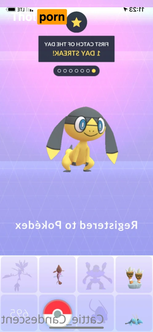 ⋆ 𝕮𝖆𝖙𝖙𝖎𝖊 ⋆ 𝕮𝖆𝖓𝖉𝖊𝖘𝖈𝖊𝖓𝖙 ⋆ 13208022