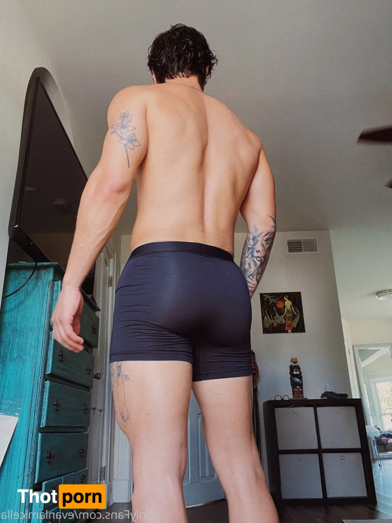 Evan Lamicella 16532482