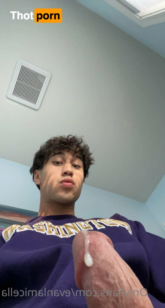 Evan Lamicella 16532641