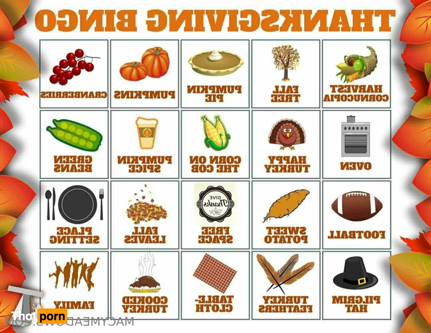 Macy Meadows 15630105