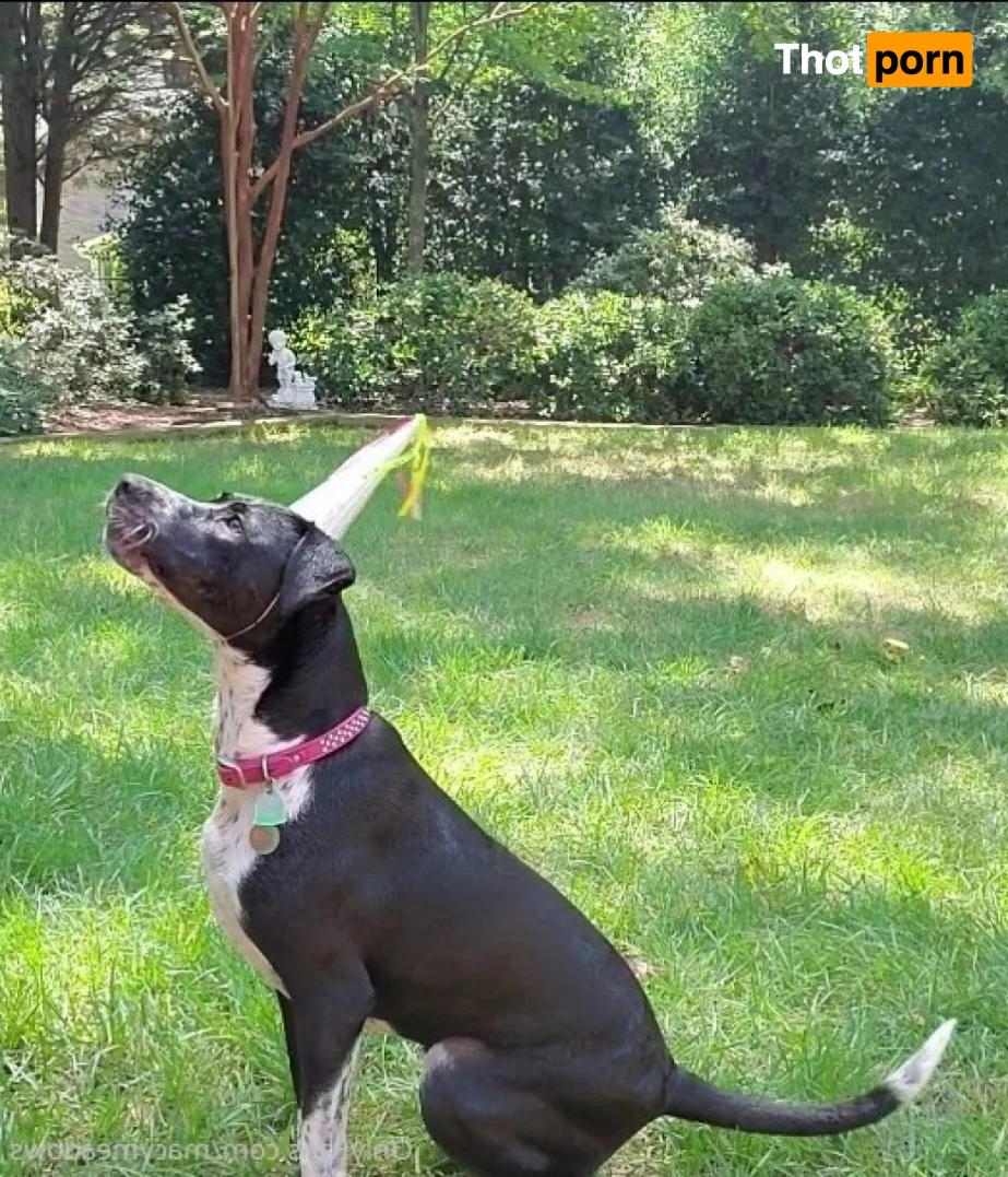 Macy Meadows 15664464