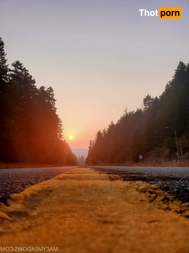 Macy Meadows 15684581