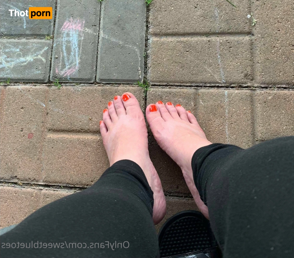 Sweetbluetoes 16330782