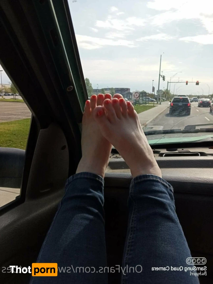 Sweetbluetoes 16335385