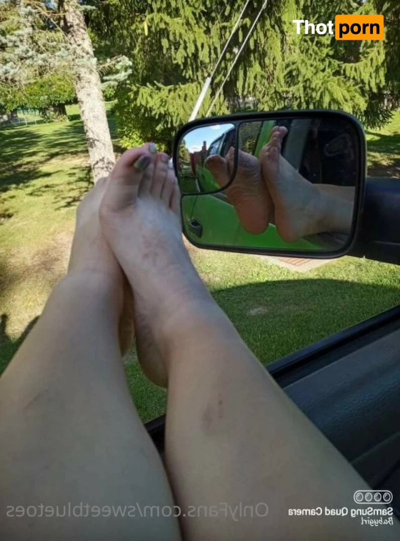 Sweetbluetoes 16337450