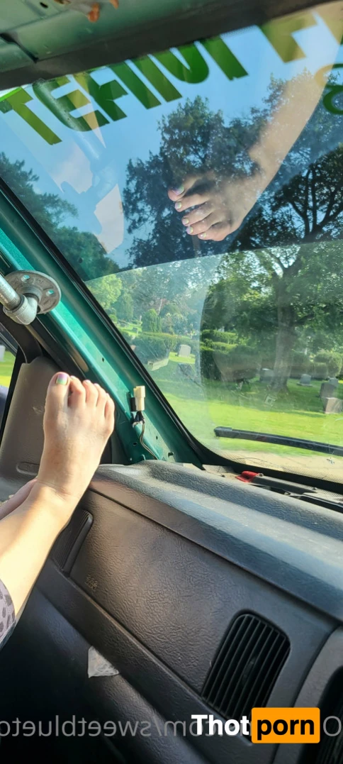 Sweetbluetoes 16338817