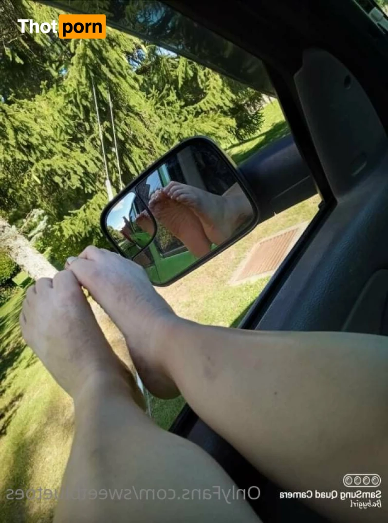 Sweetbluetoes 16340206