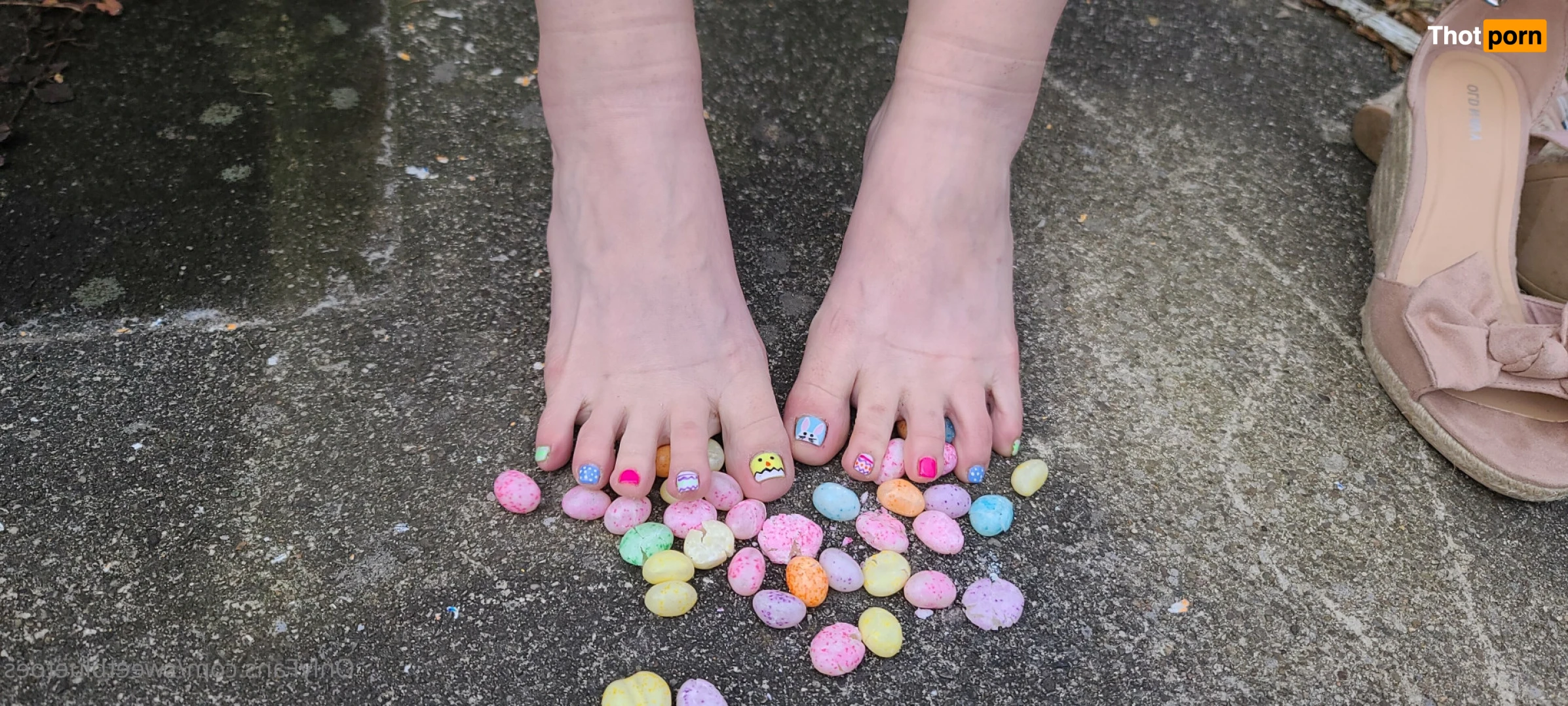 Sweetbluetoes 16345643