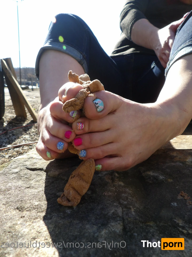 Sweetbluetoes 16353078