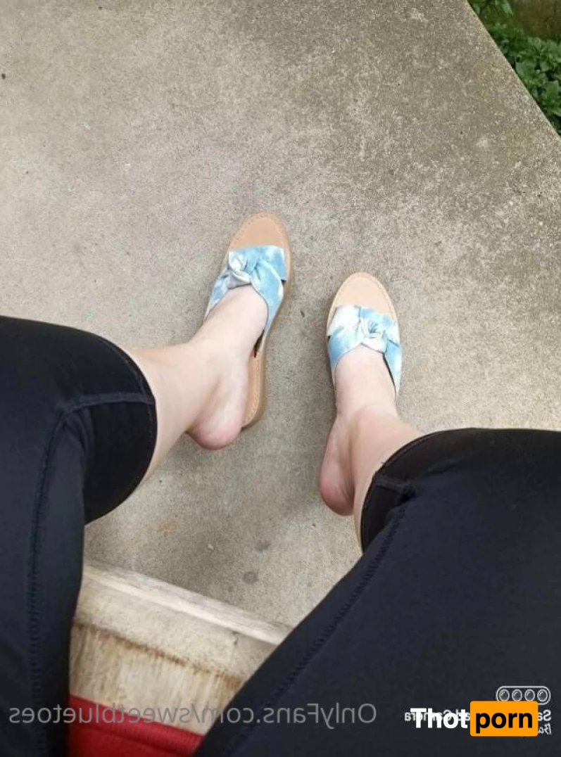 Sweetbluetoes 16354912